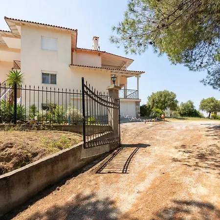 F & B Summer Collection - Paliouri