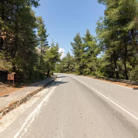 F & B Summer Collection - Paliouri