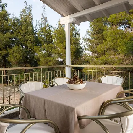 F & B Summer Collection - Paliouri