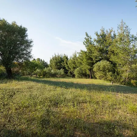 F & B Summer Collection - Paliouri