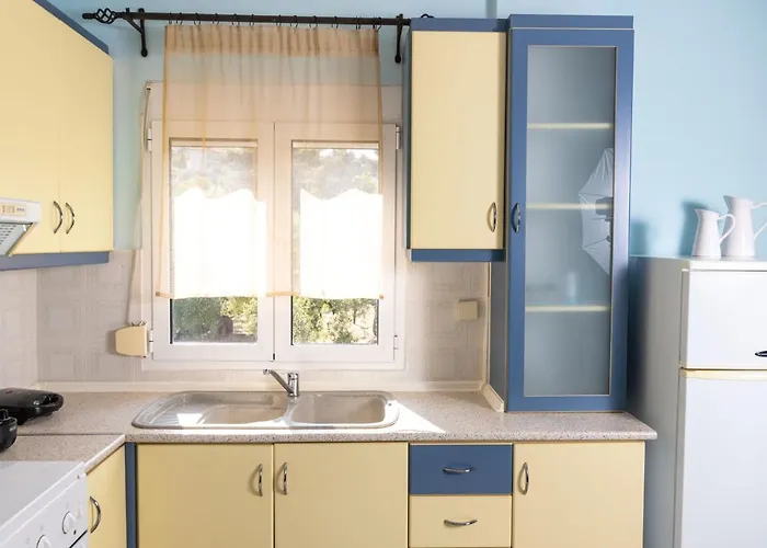 F & B Summer Collection -