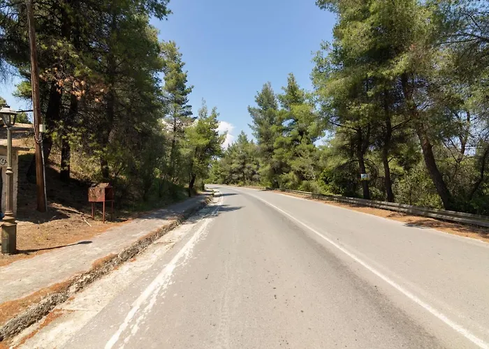 F & B Summer Collection - Paliouri