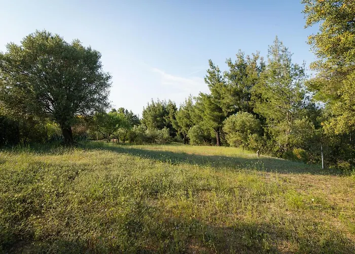 F & B Summer Collection - Paliouri