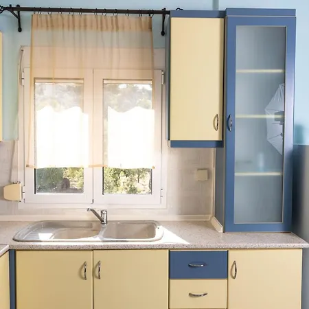 F & B Summer Collection -