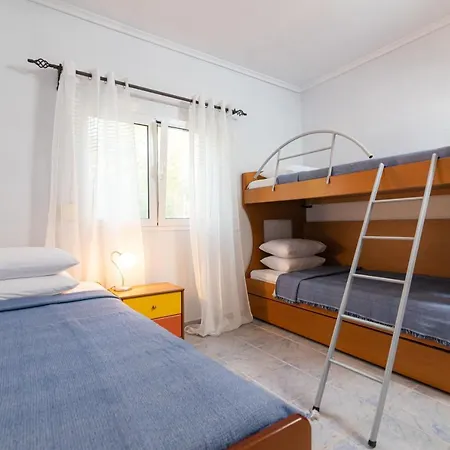 F & B Summer Collection -