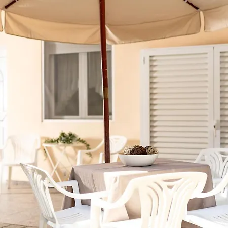 F & B Summer Collection - Paliouri